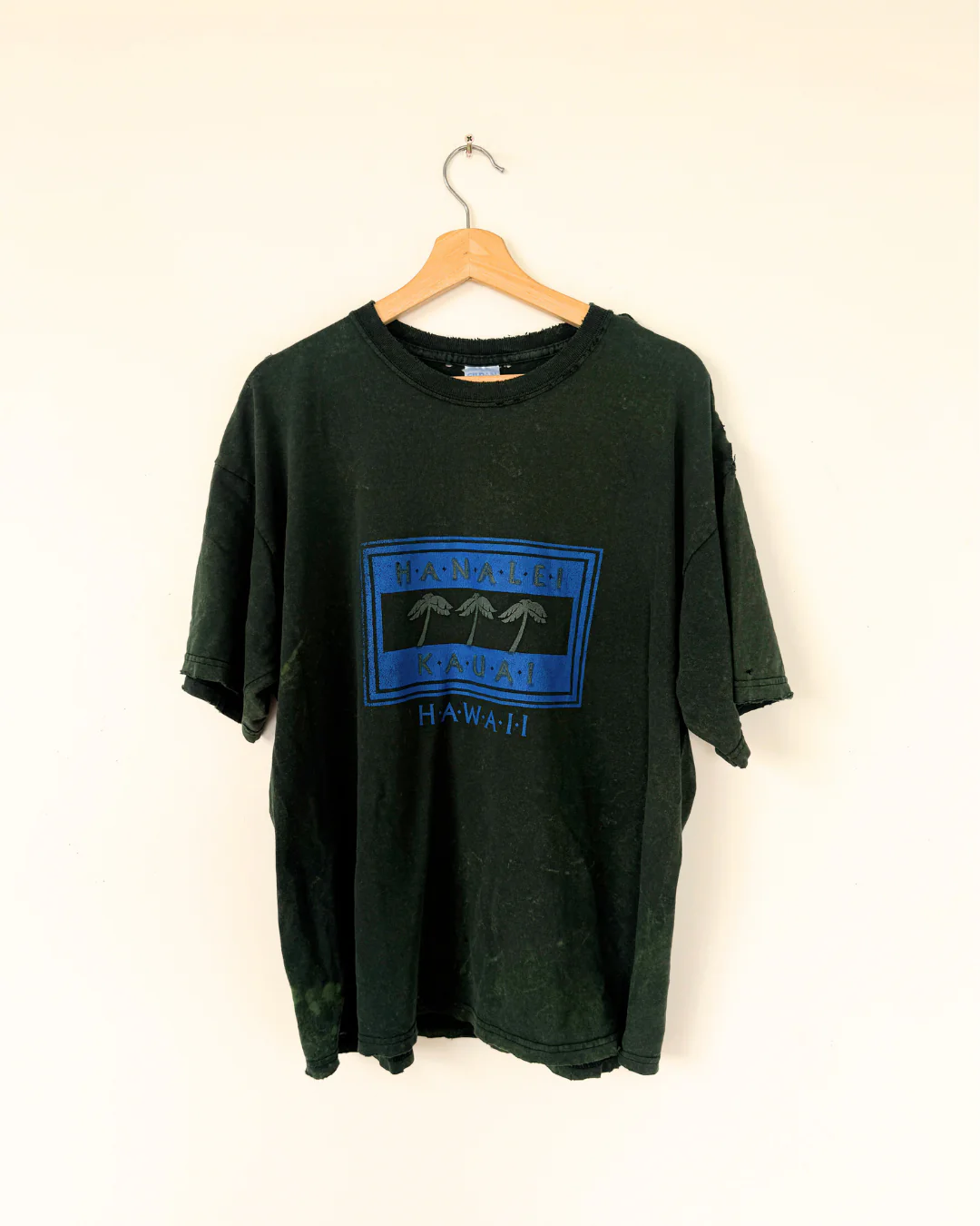 MIDORI DISTRESSED HAWAII T-SHIRT