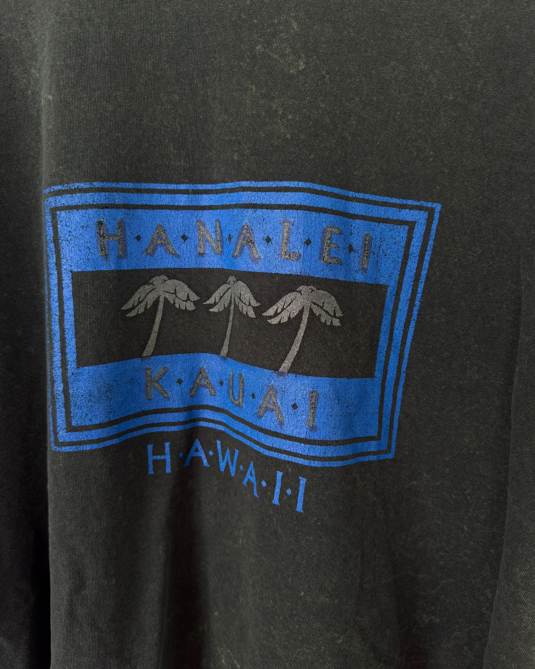 MIDORI DISTRESSED HAWAII T-SHIRT - Image 4